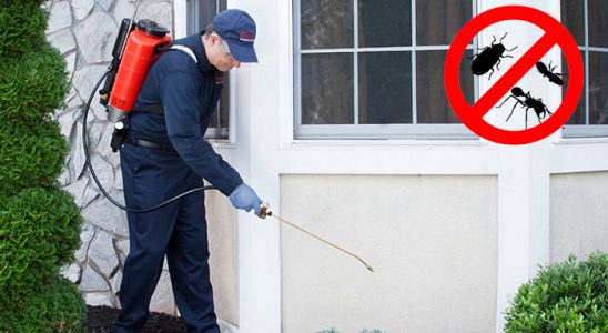Dursunbey Böcek ve Haşere İlaçlama böcek ilaçlama ve haşere kontrolü — ilaclama-tr.com